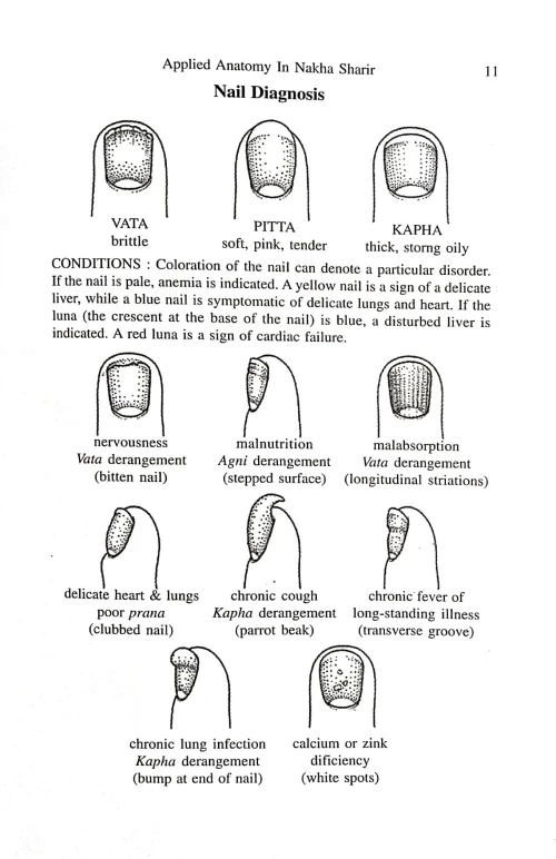 Applied Anatomy In Nakha Sharira